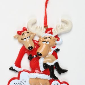 Santa Deer Couple